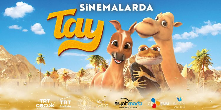 TRT ortak yapımı “TAY” en çok izlenen film oldu