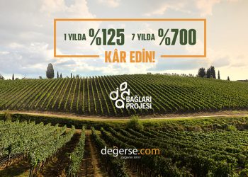 İda Bağları Projesi, Kazdağları’nın Eşsiz Bağcılık Kültürünü Yeniden Canlandırıyor