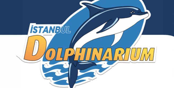İstanbul Dolphinarium’da Yunuslarla Özel Yüzme Programı ve Gösteriler